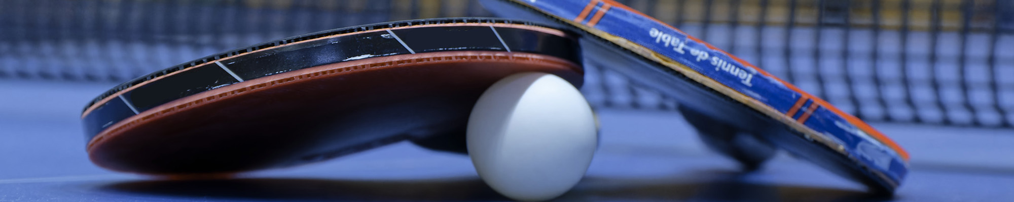 Loisir – PPC ANGLES